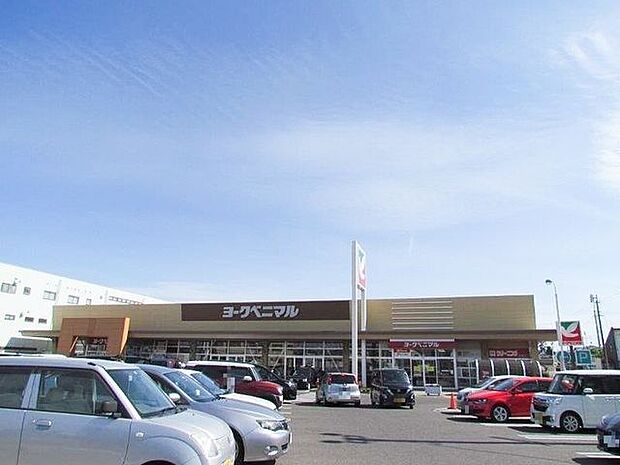 ヨークベニマル泉店 1220m