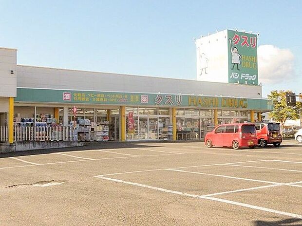 ハシドラッグ西店 850m