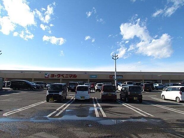 ヨークベニマル伊達店 1180m