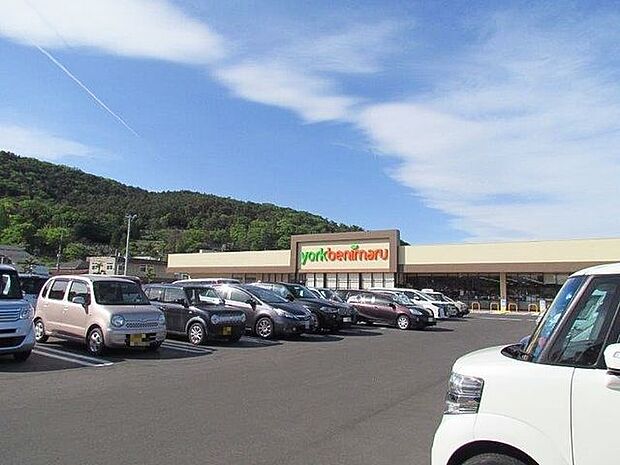 ヨークベニマル入江町店 1110m