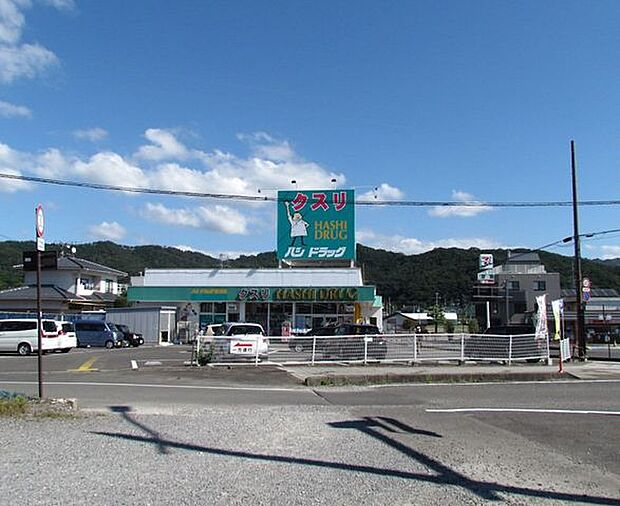 ハシドラッグ腰浜店 1230m