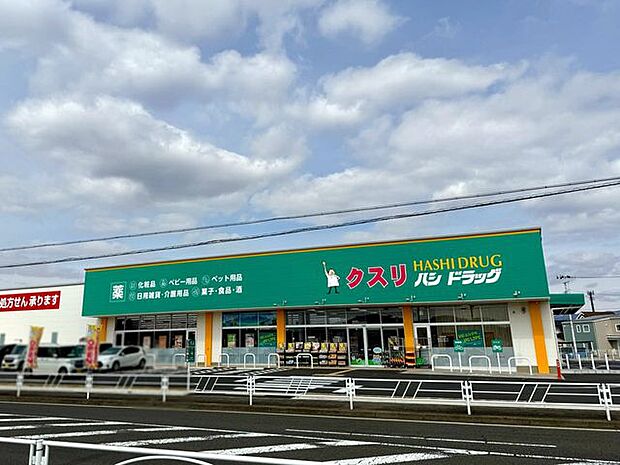 ハシドラッグ伊達箱崎店 1870m
