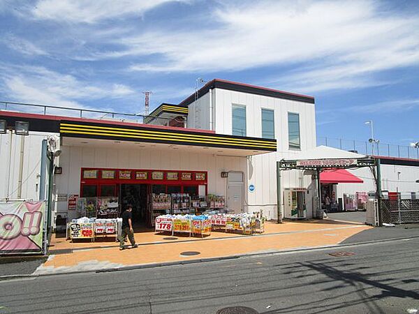 ドン・キホーテ入間店　徒歩約11分　（750ｍ）