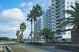 ラ・メルカーサII