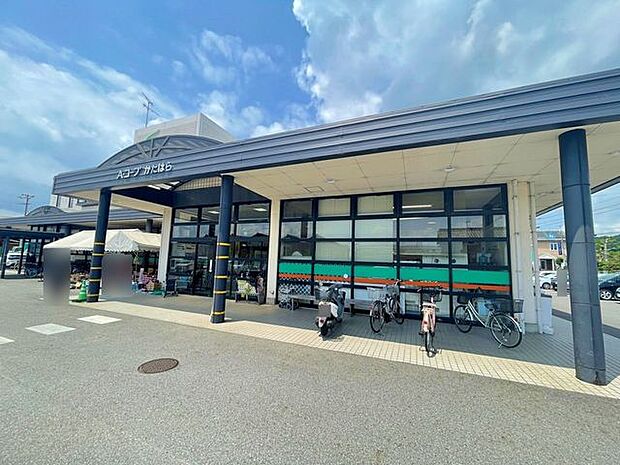 Aコープ形原Aコープ形原 600m