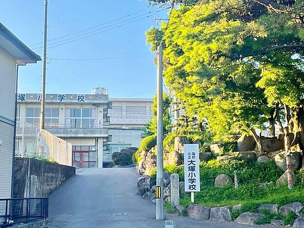 大塚小学校大塚小学校 483m