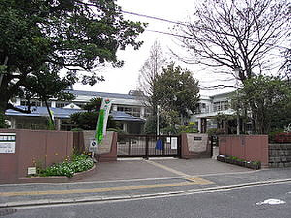 広島市立本川小学校？529m