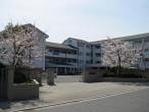 広島市立大塚小学校？731m