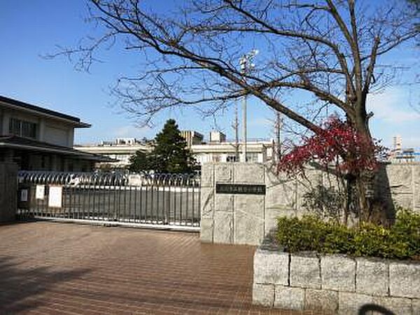 広島市立観音小学校？598m？