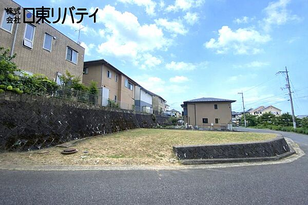 外観：334000260717