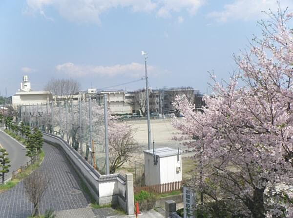 岩国市立岩国小学校まで1706m