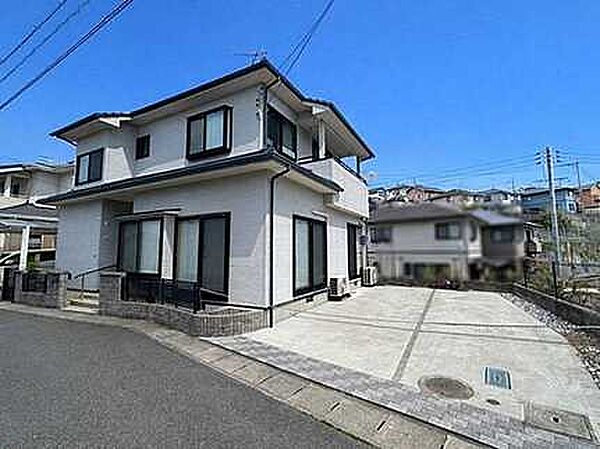 外観：334000268570