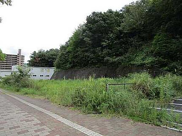 写真準備中です