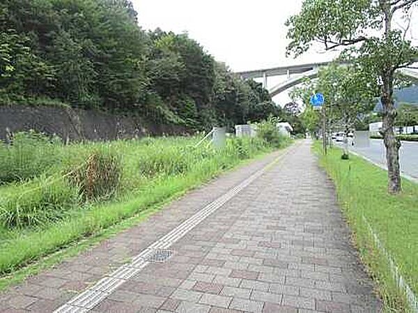写真準備中です