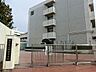 周辺：横浜市立共進中学校まで約520ｍ