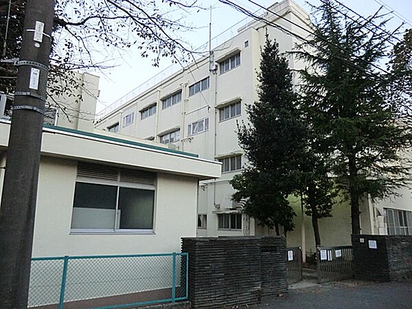 横浜市立常盤台小学校まで約590ｍ