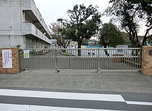 横浜市立二つ橋小学校まで約260ｍ