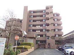 西武新宿線 都立家政駅 徒歩10分