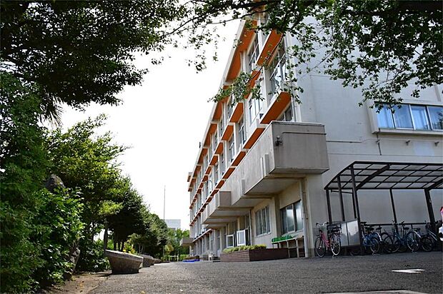 狭山市立入間野小学校（619m）