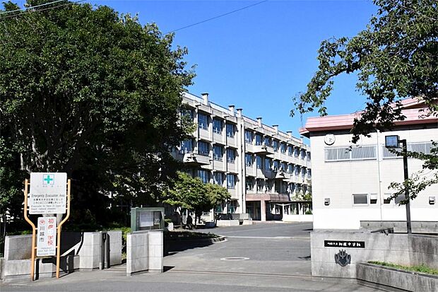 川越市立初雁中学校(1300m)