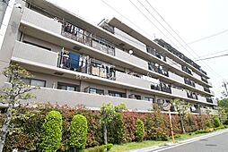 シティふじみ野