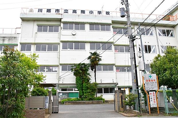 川越市立高階小学校(1000m)