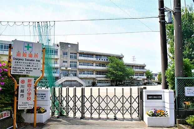 川越市立新宿小学校(782m)