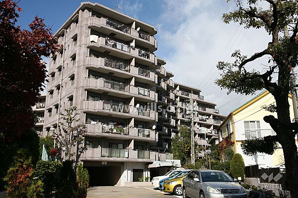 外観：323000438335