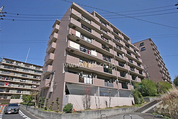 外観：323000438336