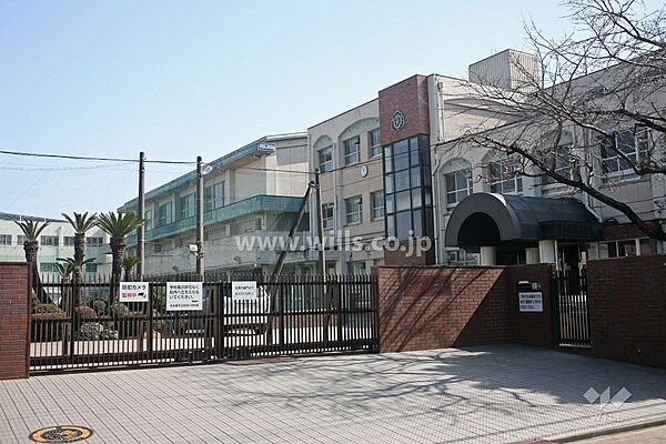 松栄小学校[公立]の外観