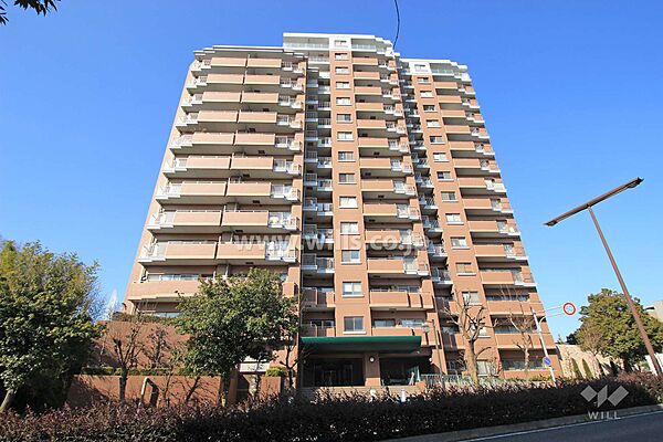 外観：323000478299