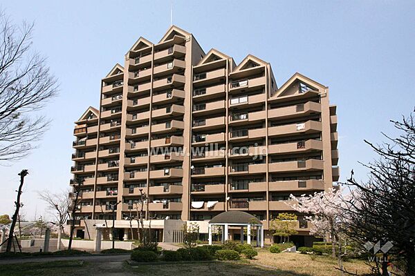 外観：323000479603