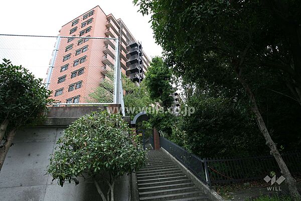 外観：323000487300