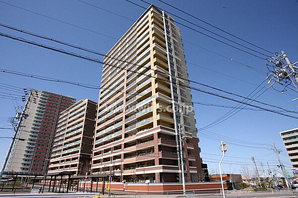 外観：323000488525