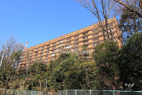 外観：323000524195