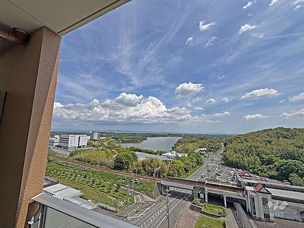 バルコニーからの眺め（南方向）［2026年5月14日撮影］