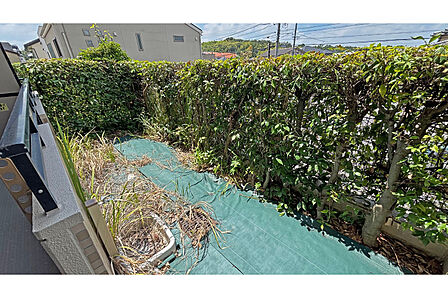 専用庭2026年7月10日撮影］