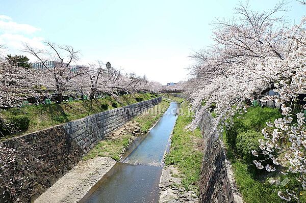 山崎川の外観