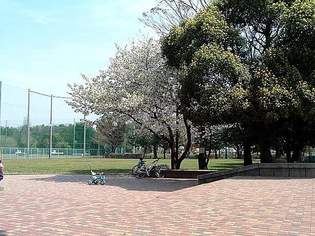 宮久保公園629m