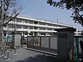 海老名市立有鹿...