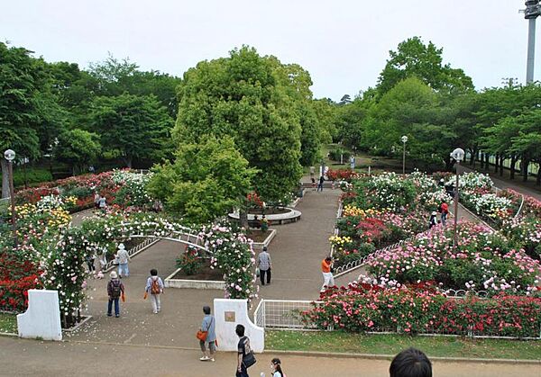 光綾公園1304m