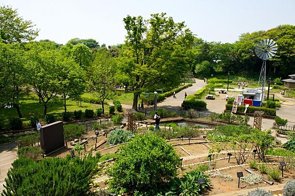 引地川公園ふれあいの森800m
