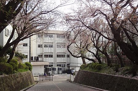藤沢市立大越小学校600m