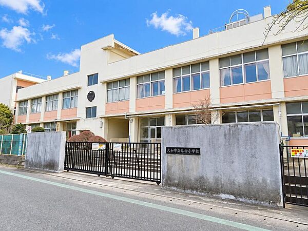 周辺を拡大表示