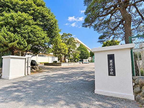 座間市立栗原小学校1500m