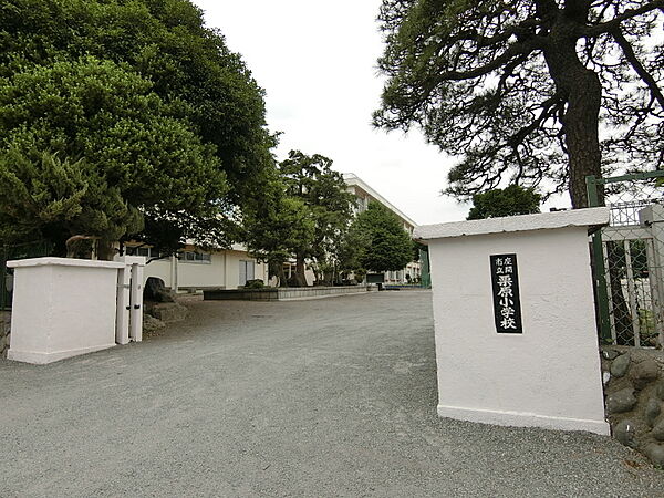 座間市立栗原小学校1500m