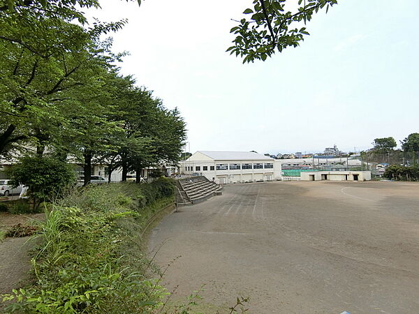 座間市立南中学校600m