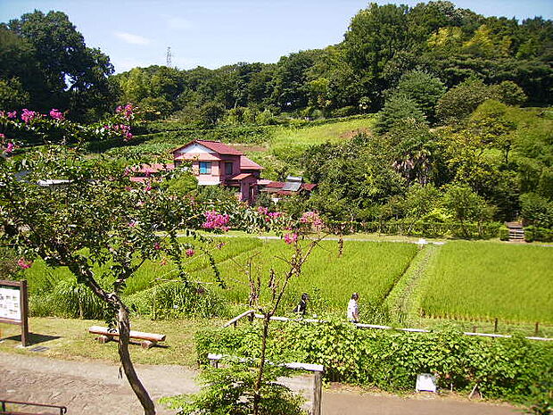 座間谷戸山公園(南入口)2019m