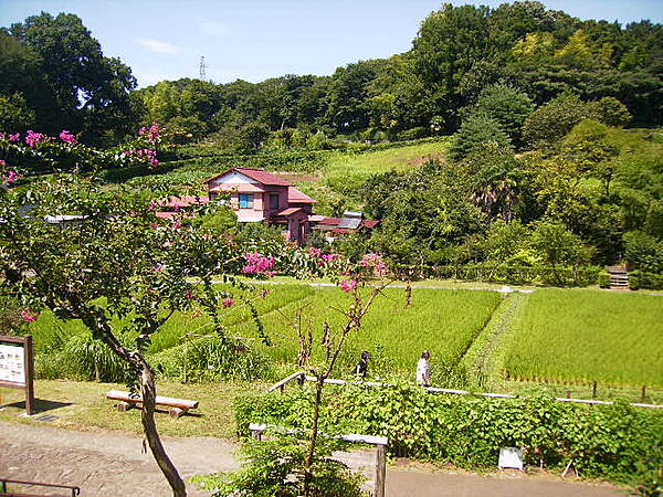 座間谷戸山公園1307m