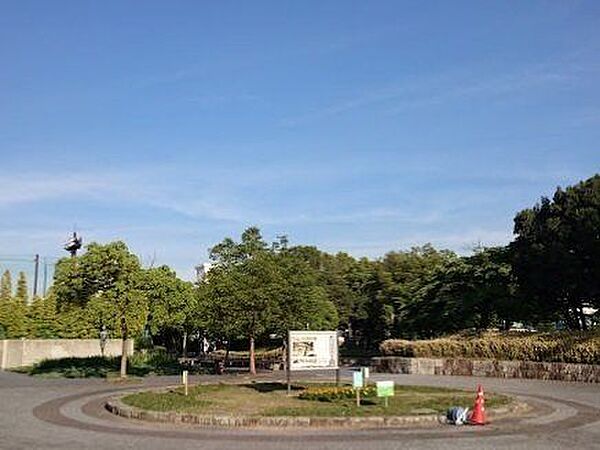 周辺を拡大表示